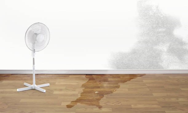 Best Water damage restoration company  in Steelville, MO